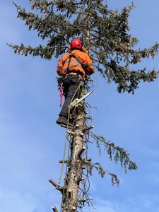 70db9a4f-a4ca-4efc-8e5c-ce6870299b9a